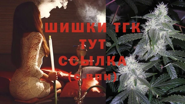 прущие крисы Абаза