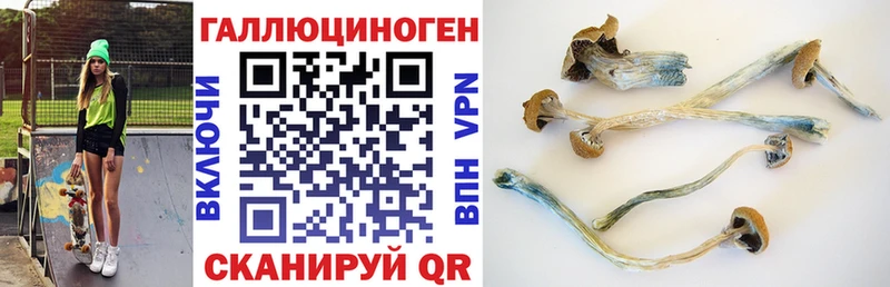 Псилоцибиновые грибы GOLDEN TEACHER  Арсеньев 